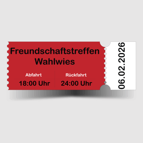 2026.02.06 Nachtumzug Wahlwies Bus 2